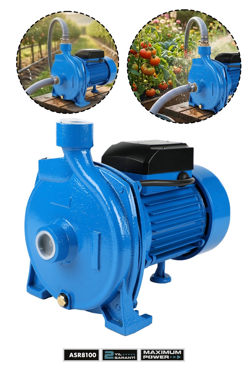 Assur Cpm158 Santrifüj Pompa